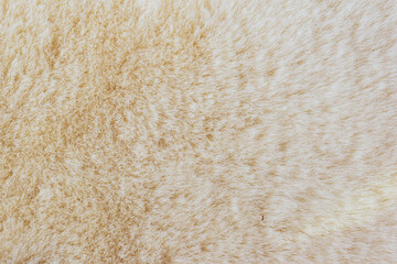 White wool background texture close up abstract