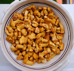 Close up Cantharellus cibarius mushrooms in a bowl