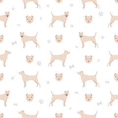 American staffordshire terrier seamless pattern