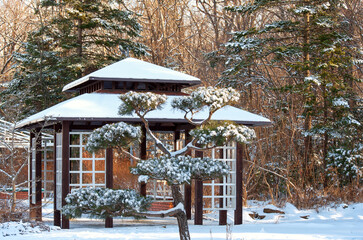 Japanese style pavilion in park in winter