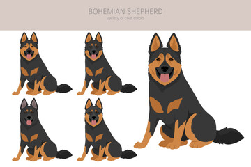 Bohemian Shepherd dog clipart. All coat colors set.  Different position. All dog breeds characteristics infographic