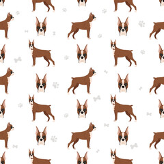 Fototapeta premium Boxer dog seamless pattern