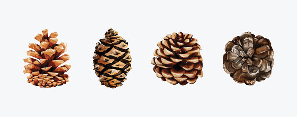 Watercolor Pine cone set vector elements design