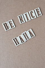 ironical message: "be nice - haha"