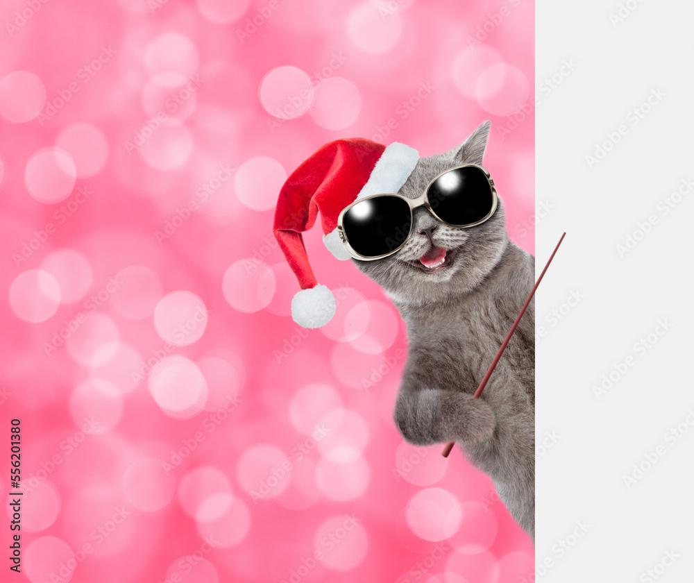 Aufkleber happy cat wearing sunglasses and red christmas hat points on empty white banner. shade trendy color 