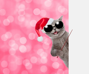 Happy cat wearing sunglasses and red christmas hat points on empty white banner. Shade trendy color of the year 2023 - Viva Magenta background. Empty space for text