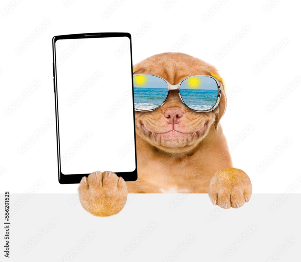 Poster smiling mastiff puppy wearing mirrored sunglasses holds big smartphone with white blank screen in it