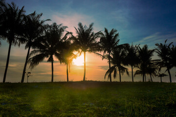 Obraz premium palm trees at sunset
