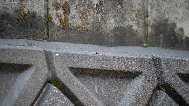 ブロックに落ちる霰と霙