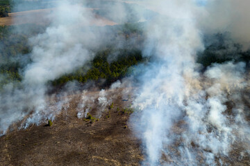 Aerial view of white smoke from forest fire rising up polluting atmosphere. Natural disaster concept
