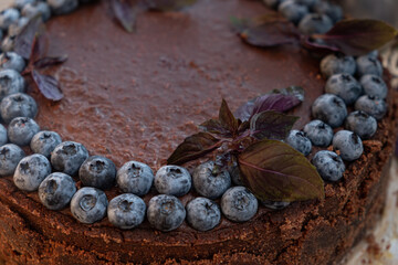 chocolate cheesecake with blueberries and basil on wood background