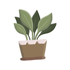 Decorative plants in pots, including a variety of succulents and houseplants, on a shelf in a modern living room