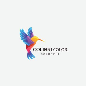 colibri bird logo gradient colorful vector