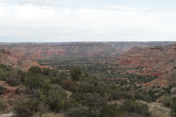 Landscape of Palo Duro Canyon, USA