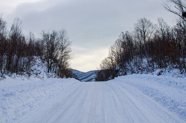 Fototapeta premium winter landscape with snow
