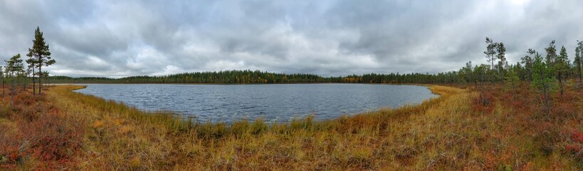 Fototapeta na wymiar Boggy lakeside of the small lake Danielstjarnen in northern Sweden