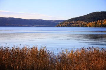 Seashore in northern Sweden in beautiful autumn