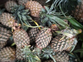 stacks of fresh pineapples are ready to be marketed, right © Jamilah1444