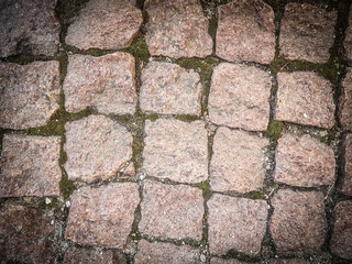 close up. Cobblestone pavement with moss growing between the stones