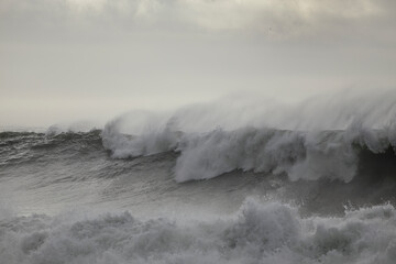 Big breaking sea wave with spray