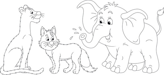 Cartoon set of funny wild animals with a panther, a sly fox and a friendly smiling little elephant, black and white outline vector illustrations for a coloring book
