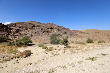 Fototapeta na wymiar The Negev is a desert in the Middle East, located in the south of Israel.