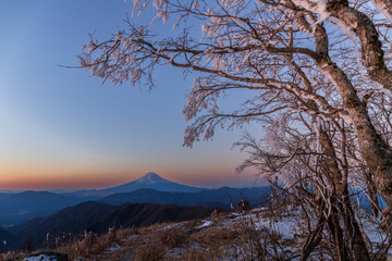 冬の白谷ノ丸山頂から夜明けの光に染まる富士山と樹氷