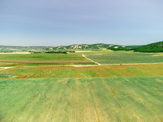 Aerial view on green wheat field in countryside. Field of wheat blowing in the wind like green sea. Young and green Spikelets. Ears of barley crop in nature. Agronomy, industry and food production.