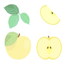 Yellow apple whole half with pits in a section and a slice of leaves set on a white background, digital drawing.