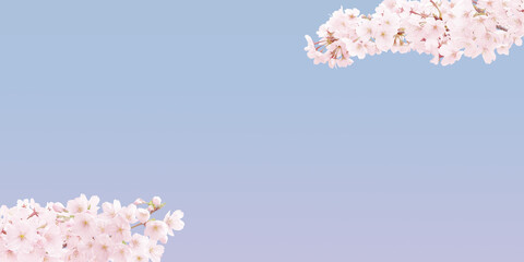 桜 イラスト リアル 