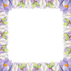 Watercolor hand drawn square frame with spring flowers, crocus, snowdrops, branches, leaves. Isolated on white background. Design for invitations, wedding, greeting cards, wallpaper, print, textile.