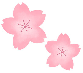 やさしい色合いの桜の花セット