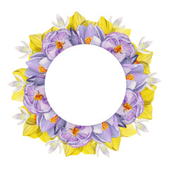 Watercolor hand drawn circle wreath with spring flowers, daffodils, crocus, snowdrops, leaves. Isolated on white background. Design for invitations, wedding, greeting cards, wallpaper, print, textile.