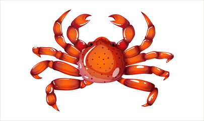 Red crab in realistic style isolated on white background. Boiled seafood product design. Ocean crustacean creature with pincers for cooking in restaurant. Edible sea food top view. Vector illustration
