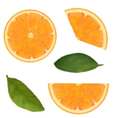 A set of illustrations with orange slices and leaves on a white background, digital drawing.
