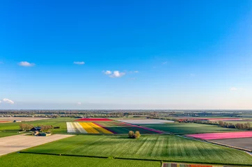 Gordijnen Landscape of bulb fields / flower fields of tulips in The Netherlands. © Alex de Haas