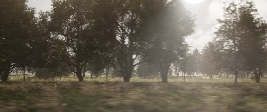 window view from a train daylight 4k 