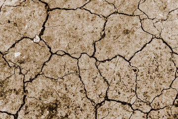 Land dry due to lack of rain. - 556249339