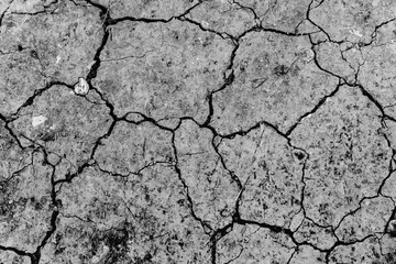 Land dry due to lack of rain. - 556249365
