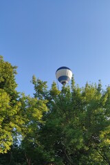 wznoszący się balon nad koronami drzew