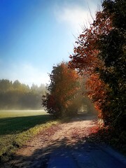 jesienne poranne mgły nad polem