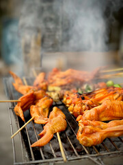 chicken meat on the grill