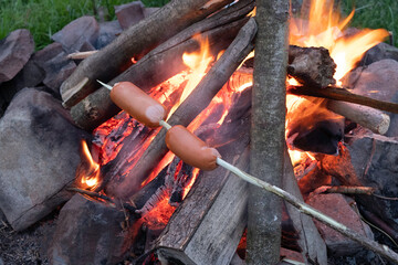 sausages with cheese on the fire in nature