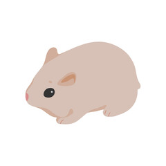 Cute hamster vector illustration