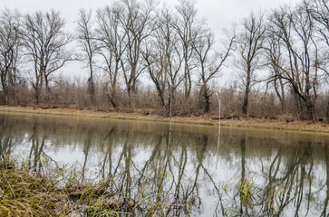 A panoramic view of the shores of the lake covered with autumn grass.