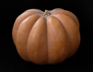 large orange pumpkin on black background