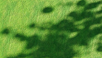 close up of a skin green grass texture shadow tree background wallpaper 3d render illustration 