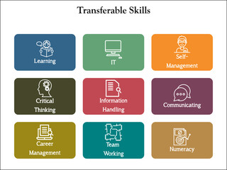 Transferable skills with icons in an infographic template