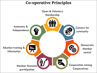 Cooperative principle with icons in an infographic template