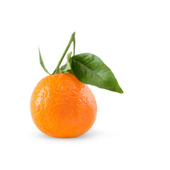 Orange with a green twig with a shadow on a white